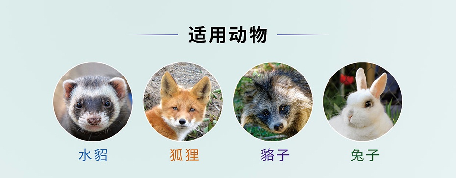 貂狐貉兔等毛皮動物退熱解表藥-卡巴匹林鈣可溶性批發(fā)-青島康地恩