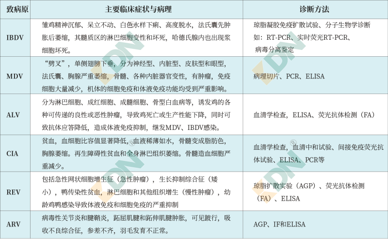 青島康地恩-各種病毒的臨床表現(xiàn)及診斷方法