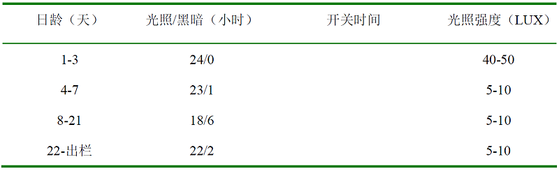 青島康地恩白羽肉雞育成期管理